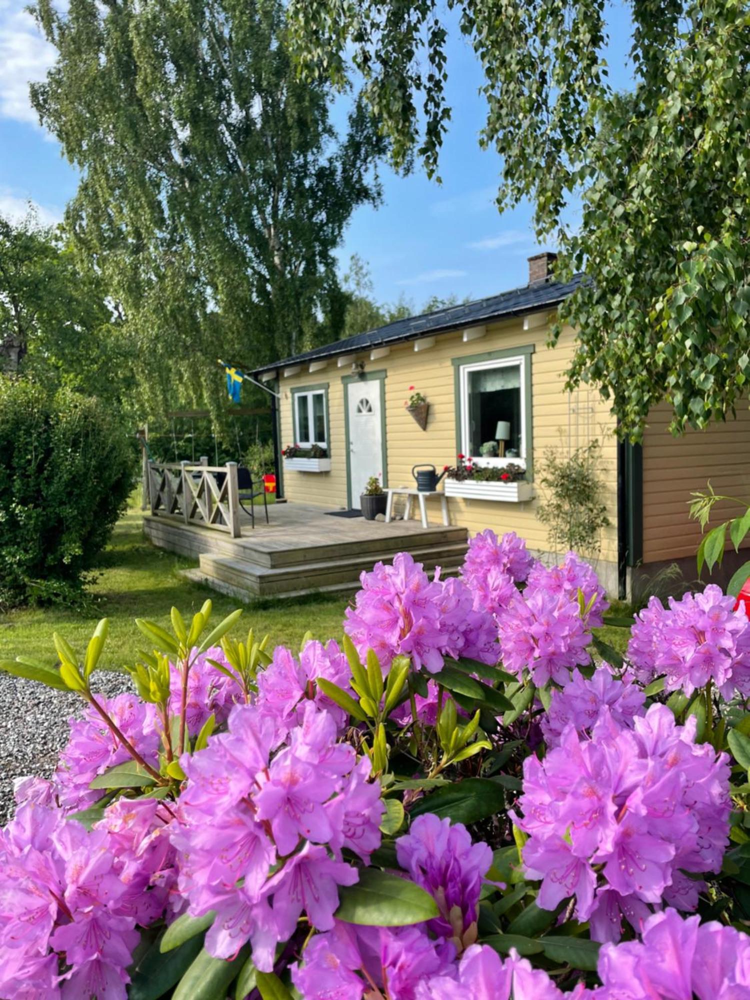 Nice Child-Friendly House 200M From Beautiful Beach, Farhult Exterior foto